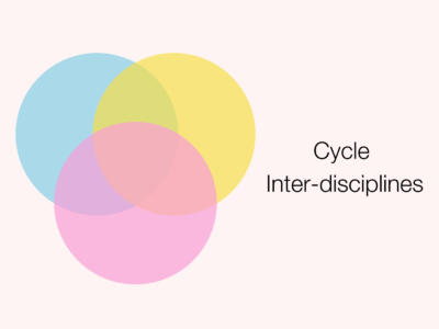 inter disciplines imera iea aix marseille 1