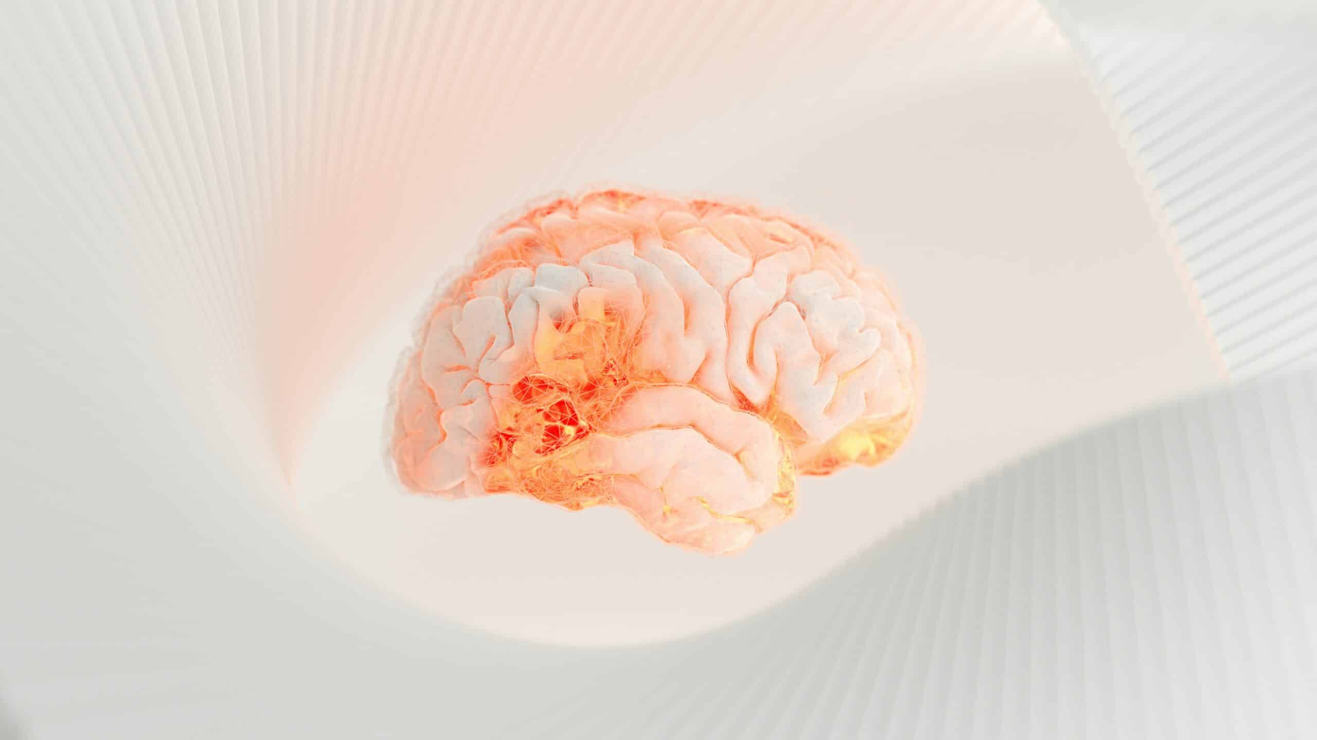 cerveau kommers 9a9tcxesy6c unsplash
