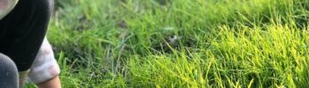 Photo d'un enfant curieux qui observe des champignons dans l'herbe