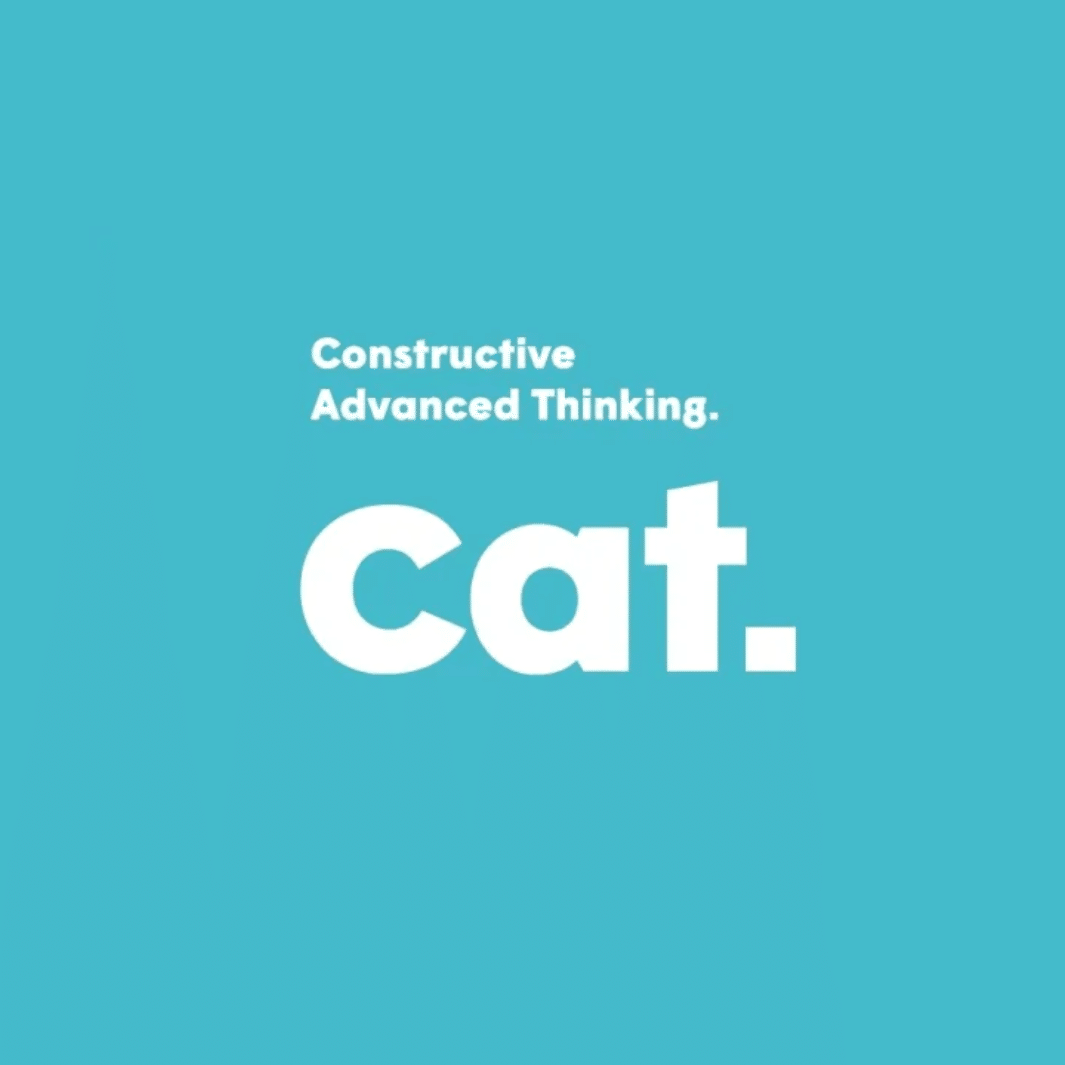 constructive advanced thinkin cat 26 28