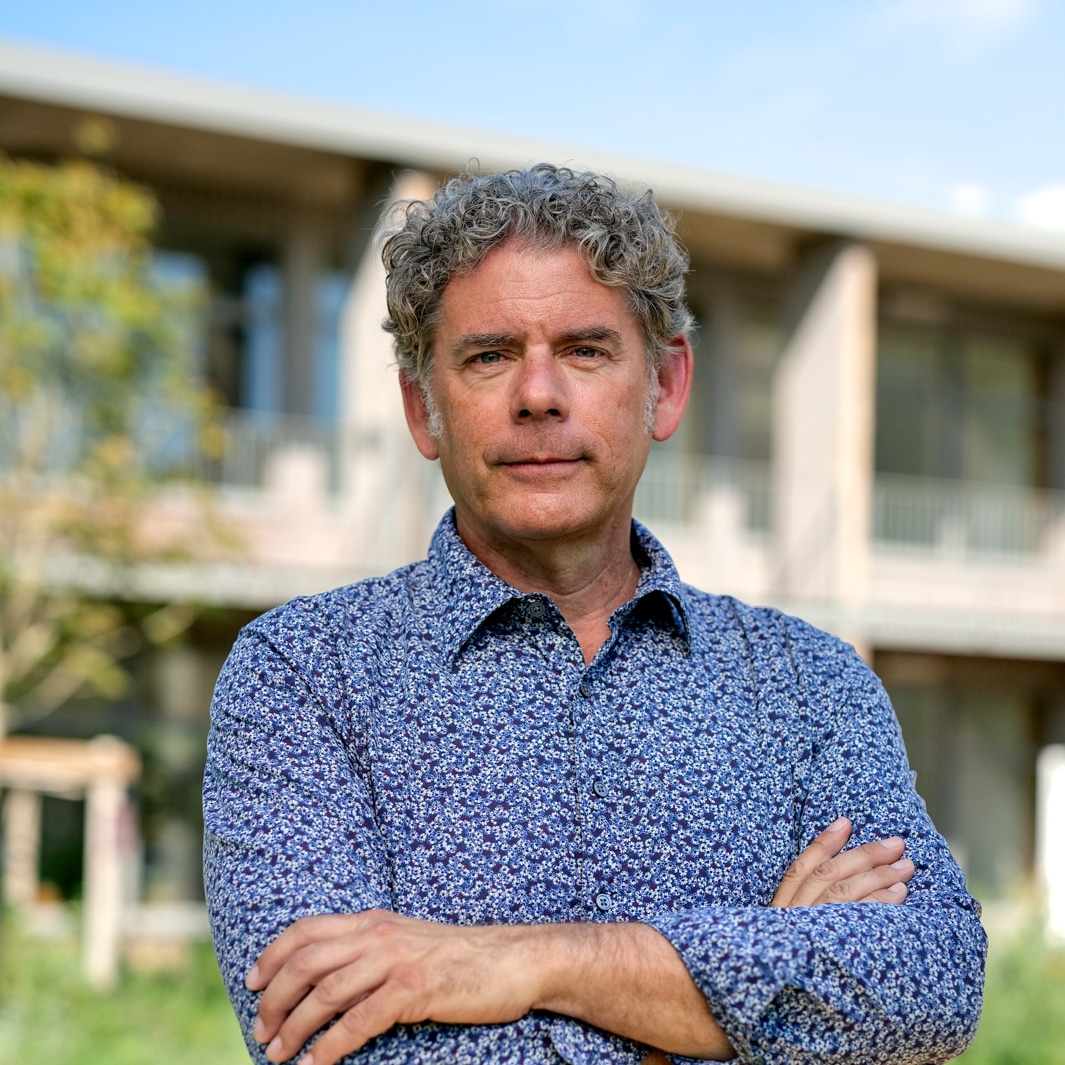 brain sandberg imera 2025 2026